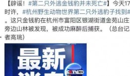 常州光宝爆料事件最新,揭秘企业内部惊人内幕